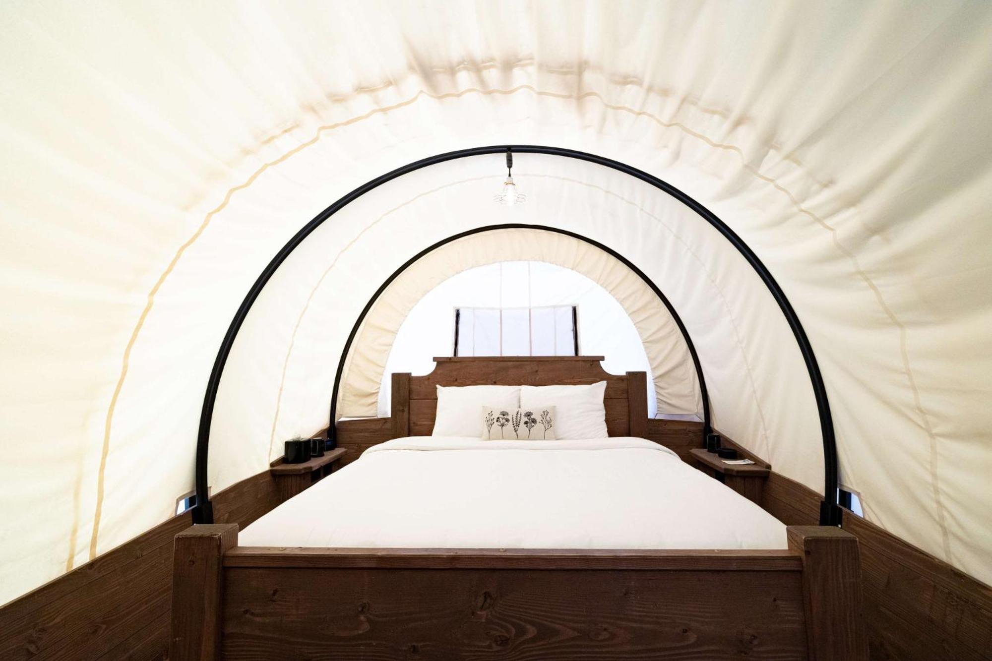 Zion Wildflower Resort Virgin Eksteriør billede
