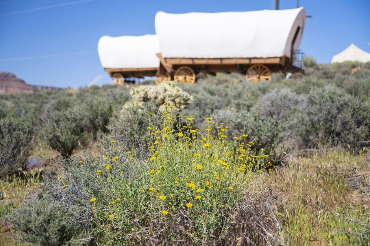 Zion Wildflower Hotel Virgin Eksteriør billede